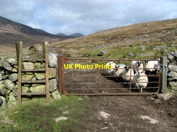 Photo 6"x4" Stile and gate on the Banns Road Attical c2009