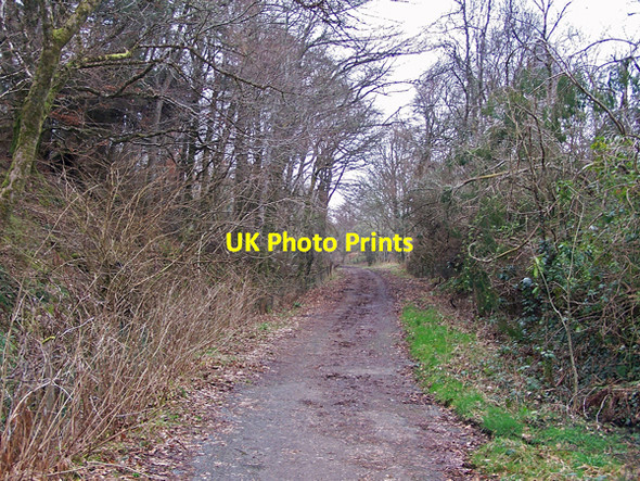 Photo 6"x4" Former A850 Suledale c2009