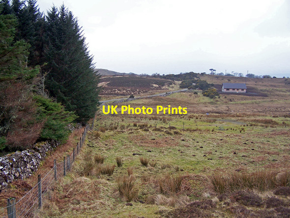 Photo 6"x4" Building plots near Lyndale Suledale c2009 P1