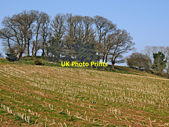 Photo 6"x4" Field and hilltop above Kingston St Mary Kingston St Mary c2009