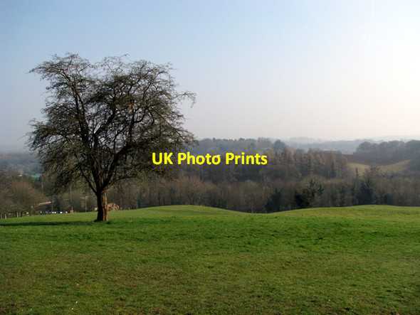 Photo 6"x4" View from Malone House Dunmurry c2009