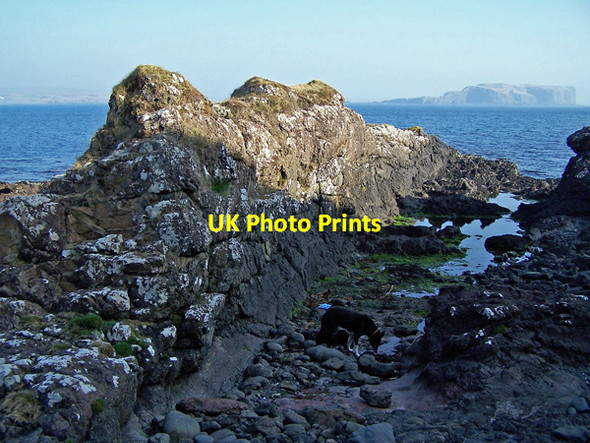 Photo 6"x4" Dyke from the shore Ardmore\/NG2841 c2009