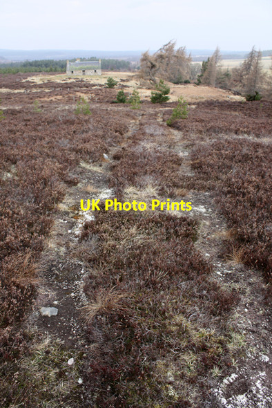 Photo 6"x4" Moorland track south of Reroppie Dunearn Lodge c2009