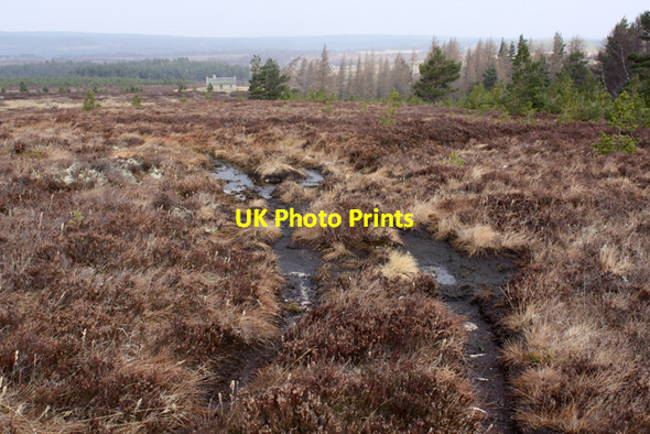 Photo 6"x4" Boggy track near Reroppie Dunearn Lodge c2009
