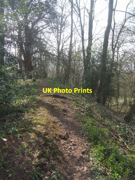 Photo 6"x4" Wychbury Hill Fort - Southern Rampart Hagley\/SO9181 c2009