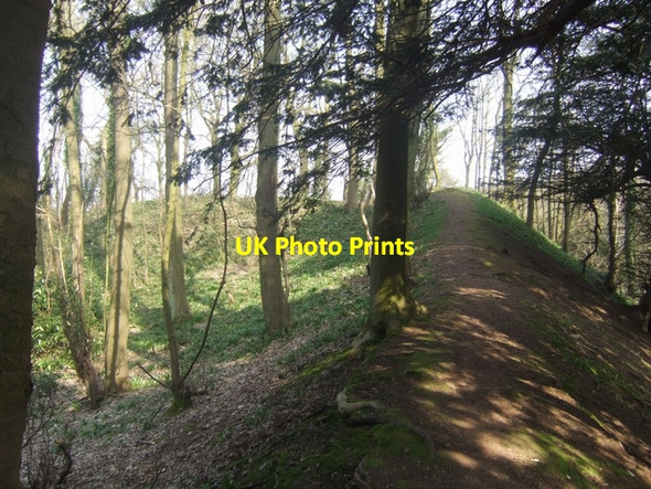 Photo 6"x4" Wychbury Hill Fort - Eastern end Hagley\/SO9181 c2009