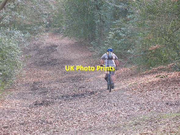 Photo 6"x4" Epping Forest: cyclist Loughton\/TQ4396 c2009
