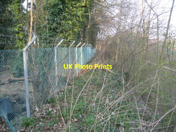 Photo 6"x4" Railway fence - Reading line Basingstoke c2009