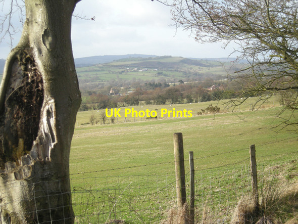 Photo 6"x4" Fields at Asterton Prolley Moor Asterton c2009