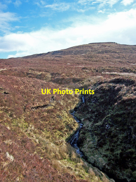 Photo 6"x4" Burn on the hillside Bay\/NG2653 c2009