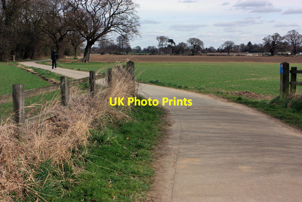 Photo 6"x4" Middlethorpe Common Middlethorpe c2009
