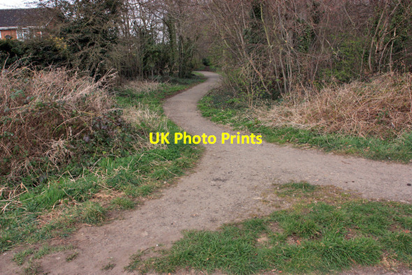 Photo 6"x4" Footpath through the woods Middlethorpe c2009