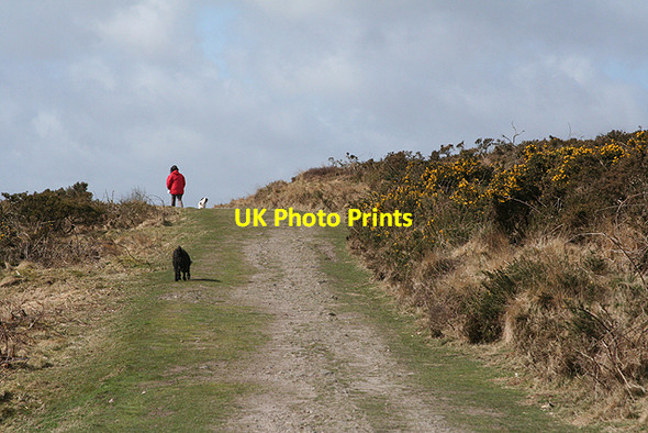 Photo 6"x4" Stoke Climsland: on Kit Hill Monkscross c2009