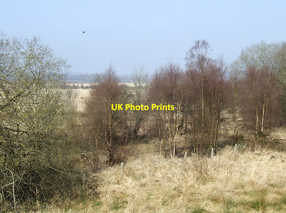 Photo 6"x4" The edge of Cors Caron in Ceredigion Tregaron c2009