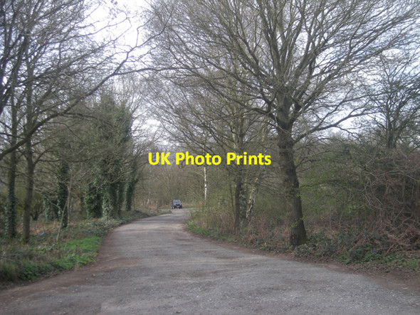 Photo 6"x4" Entrance to the car park Gospel Ash c2009
