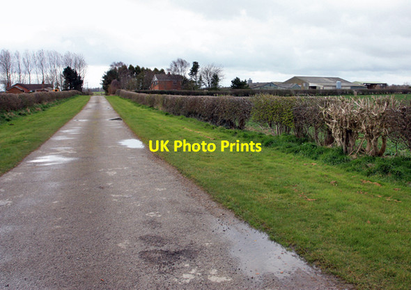 Photo 6"x4" Heigholm Lane, south of Brandesburton Leven\/TA1045 c2009