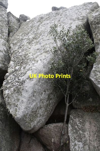 Photo 6"x4" Triangular Rock Hugh Town c2008