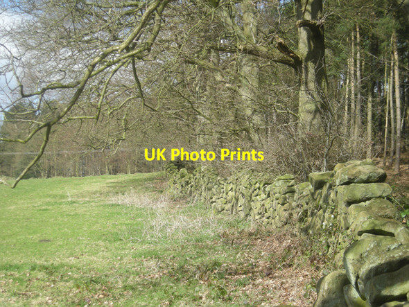 Photo 6"x4" Out of the woods after a steep climb Oakamoor c2009