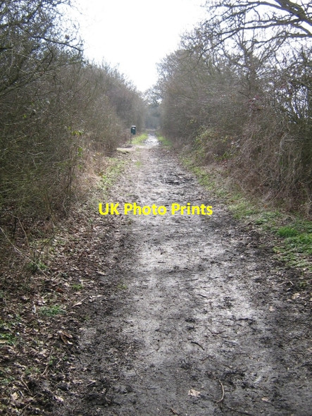Photo 6"x4" Dog bin Westcroft\/SP8234 c2009