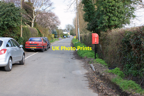 Photo 6"x4" The Footpath, Coton Coton\/TL4058 c2009