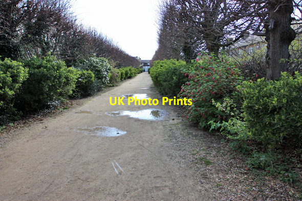 Photo 6"x4" The lane to Mill Road Cambridge\/TL4658 c2009