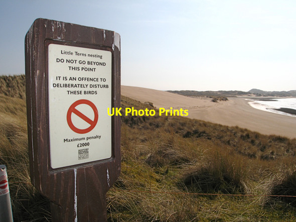Photo 6"x4" Newburgh: warning notice on the Sands of Forvie Nature Reserve Newburgh\/NJ9925 c2009