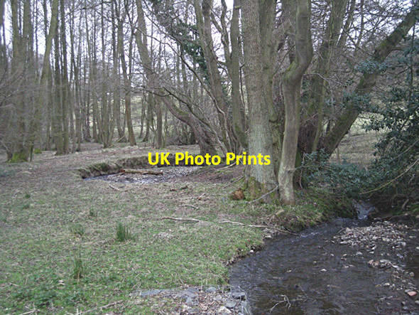 Photo 6"x4" Stream near Minton Minton c2009