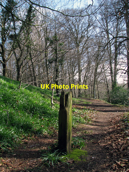 Photo 6"x4" Post and track, Barnett Demesne Drumbeg\/J3066 c2009