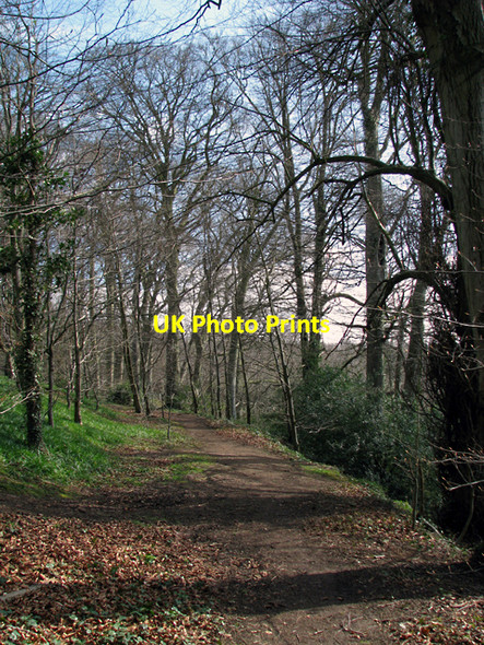 Photo 6"x4" Track, Barnett Demesne Drumbeg\/J3066 c2009