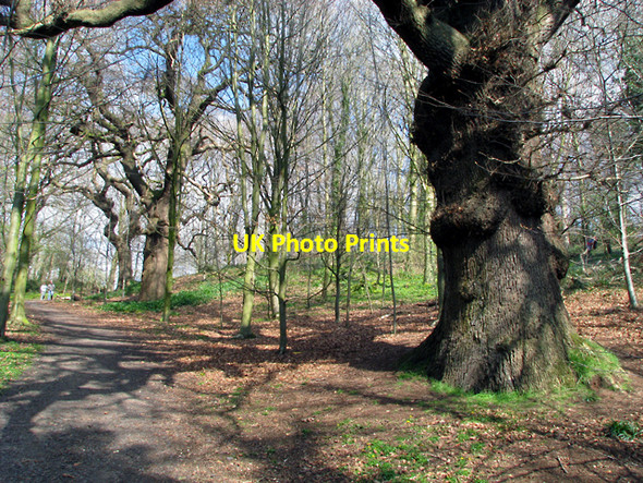 Photo 6"x4" Track, Barnett Demesne Drumbeg\/J3066 c2009 P1