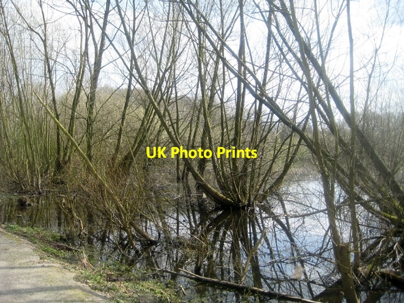 Photo 6"x4" Stanley Marsh Nature Reserve Stanley\/SE3424 c2009