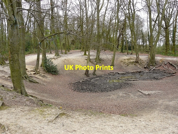 Photo 6"x4" The Dip, Blackhouse Wood Dunsden Green c2009