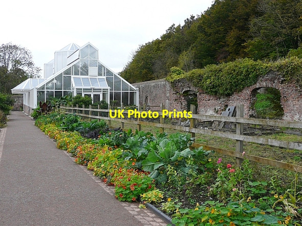 Photo 6"x4" Tropical House and ruined Peach House Llanddarog c2008