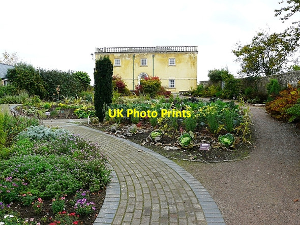 Photo 6"x4" Wallace Garden and Principality House Llanarthne c2008