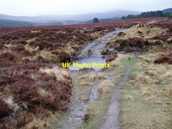 Photo 6"x4" Ford, Lurg Burn Clachaig\/NJ0218 c2009