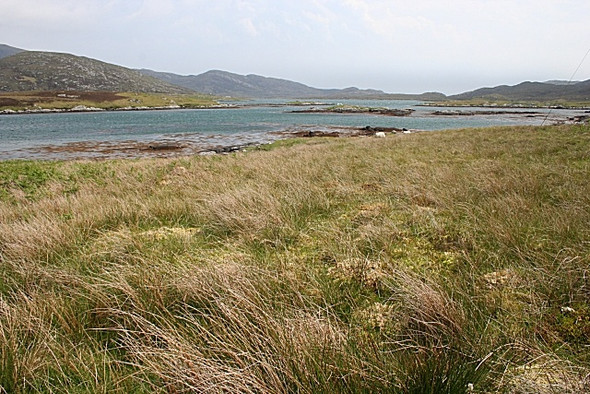 Photo 6"x4" Former Lazybeds by Loch Aineort Taobh a Deas Loch Aineort c2009