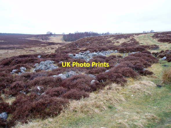 Photo 6"x4" Ruin near Lurg Burn Clachaig\/NJ0218 c2009