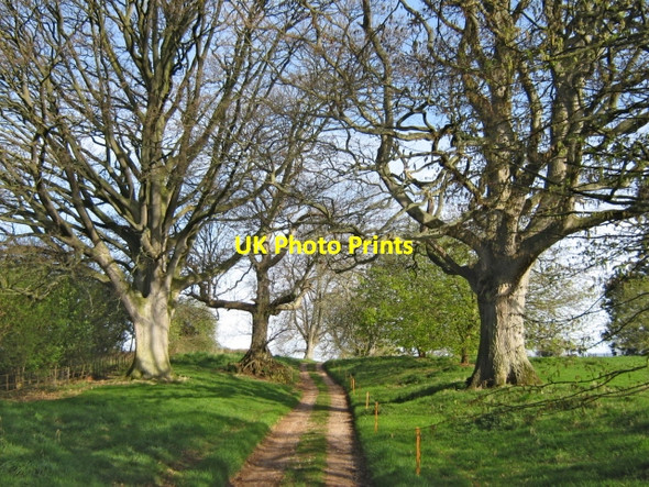 Photo 6"x4" Bridleway at Gothelney Hall Gothelney Green c2009