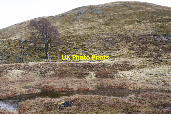 Photo 6"x4" Caimhlin Mor Caimhlin M\u00f2r c2009
