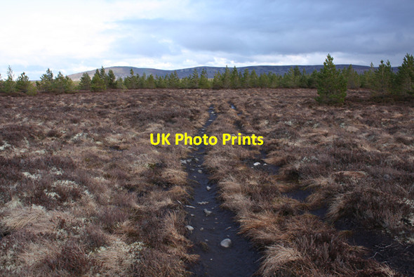 Photo 6"x4" Boggy track to Reeskie Carn Bad a' Churaich c2009