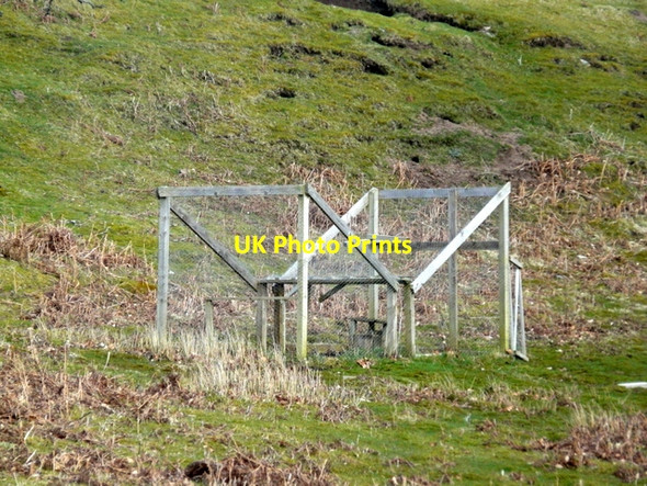 Photo 6"x4" Crow trap at Leataidh. Tressady c2009