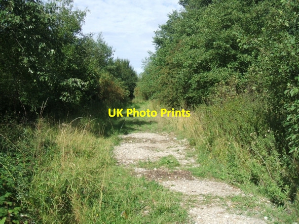 Photo 6"x4" Wulfrun Way - Holly Bank Colliery Railway Essington c2006