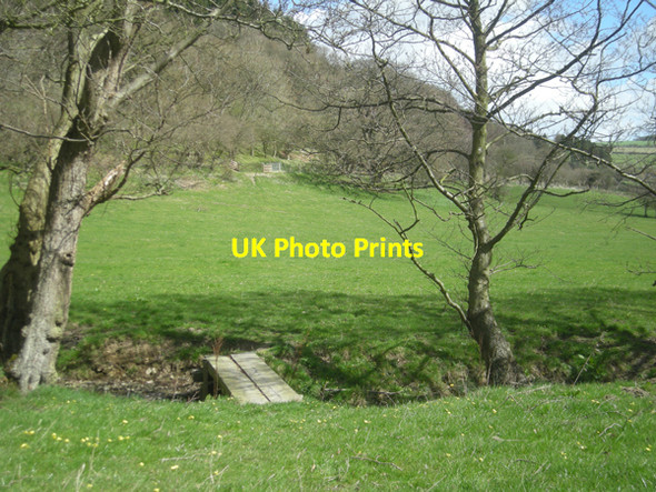 Photo 6"x4" Footbridge on the path to Steppleknoll Gree c2009