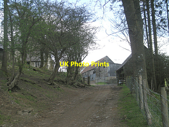 Photo 6"x4" Approaching Stepple Farm Clunton c2009