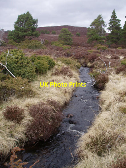 Photo 6"x4" Allt Choire Chomhlaig Carn Mheadoin c2009