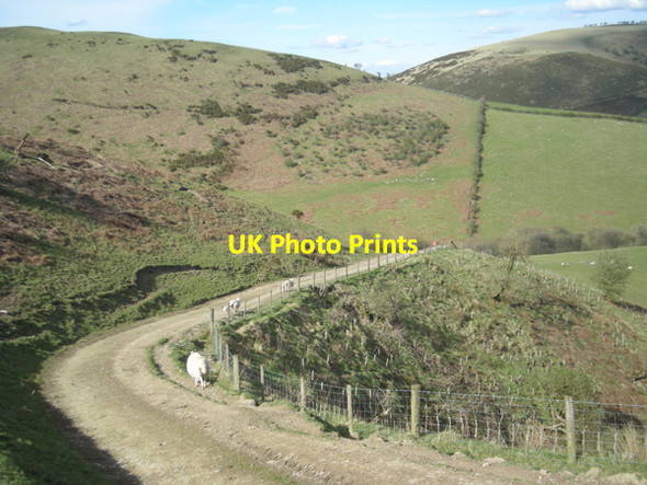 Photo 6"x4" Track to Cwm Burholes Upper Treverward c2009
