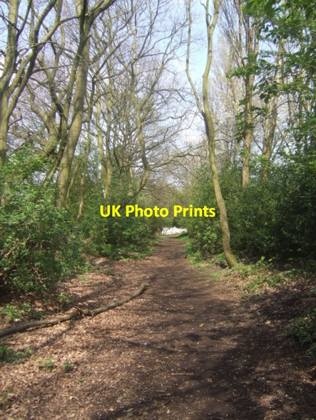 Photo 6"x4" Colliery railway Bloxwich c2009