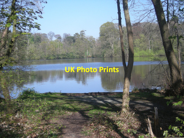 Photo 6"x4" Blake Mere Spunhill c2009