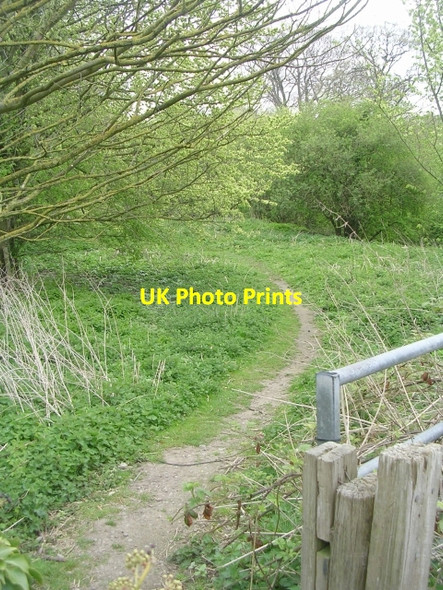Photo 6"x4" Footpath - Killinghall Bridge Killinghall c2009 P1