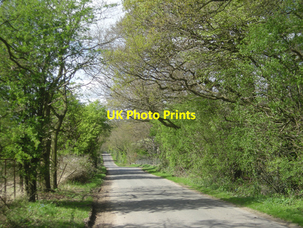Photo 6"x4" Lane near Umberslade Hall Kemps Green c2009